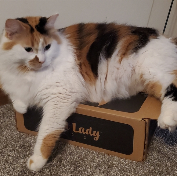 Meet your Posher, Angel - Picture 7 of 11